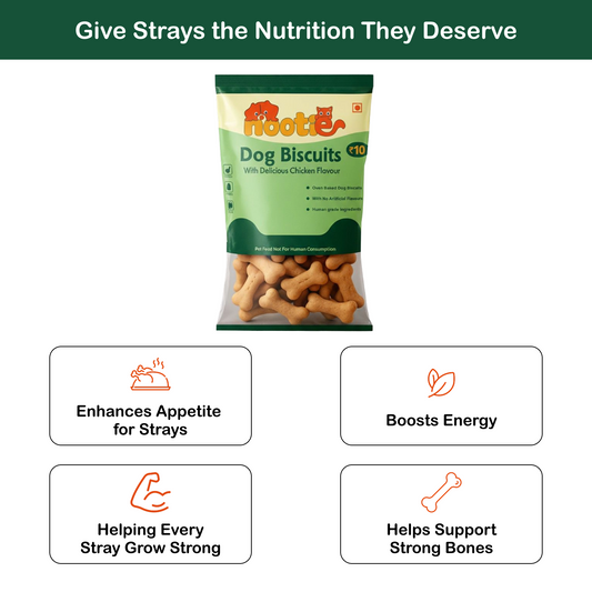 Nootie Chicken Puppy Biscuits | High-Protein Crunchy Treats for Puppies (40gm)