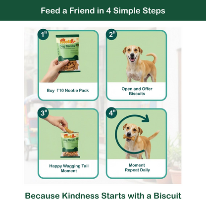 Nootie Chicken Puppy Biscuits | High-Protein Crunchy Treats for Puppies (40gm)