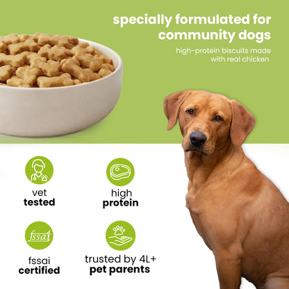 Nootie Chicken Dog Biscuits | High-Protein Crunchy Treats for Dogs (40gm)