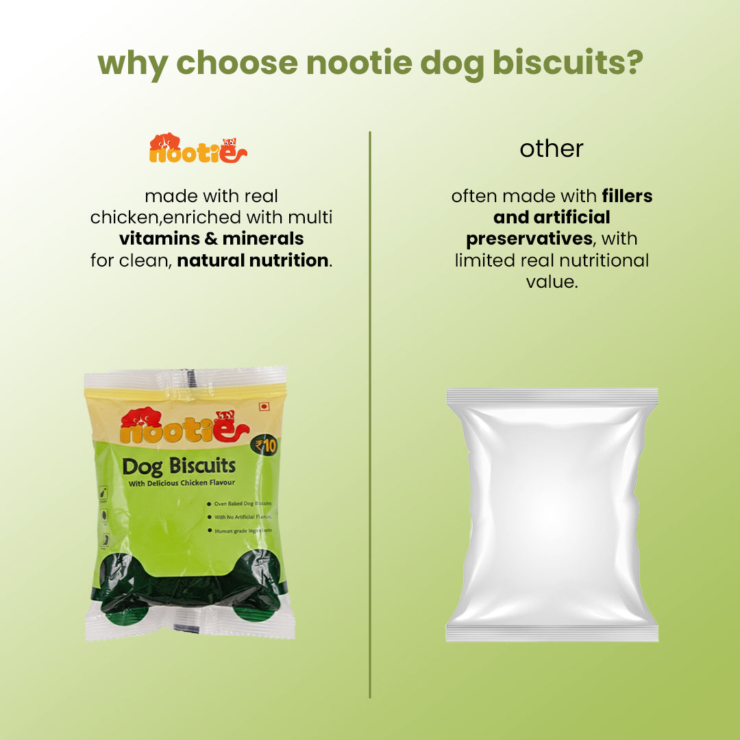 Nootie Chicken Dog Biscuits | High-Protein Crunchy Treats for Dogs (40gm)