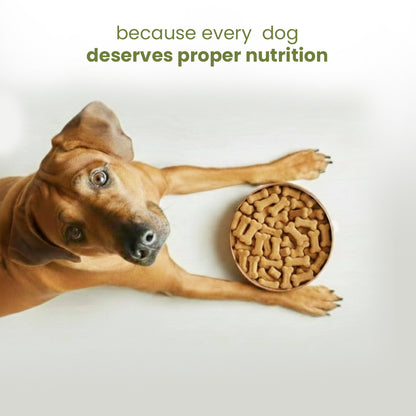 Nootie Chicken Dog Biscuits | High-Protein Crunchy Treats for Dogs (40gm)