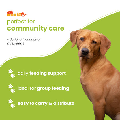 Nootie Chicken Dog Biscuits | High-Protein Crunchy Treats for Dogs (40gm)