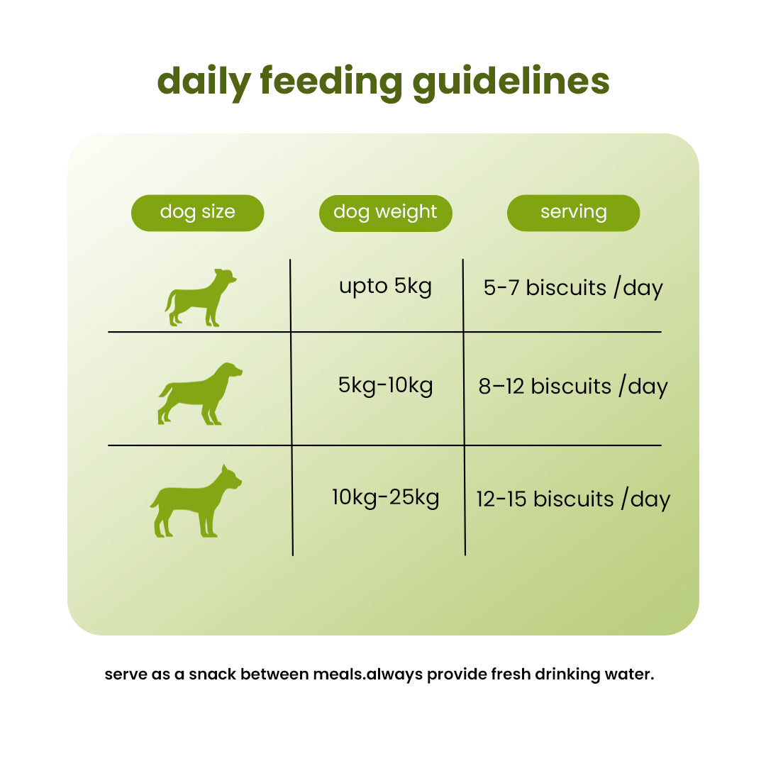 Nootie Chicken Dog Biscuits | High-Protein Crunchy Treats for Dogs (40gm)