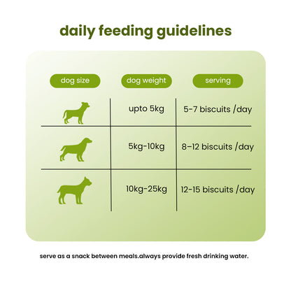 Nootie Chicken Dog Biscuits | High-Protein Crunchy Treats for Dogs (40gm)