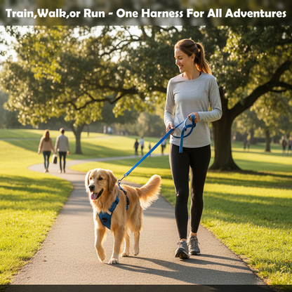 Nootie No-Pull Reflective Dog Harness | Anti-Choke Training Vest with Soft Padding and Easy-Control Handle