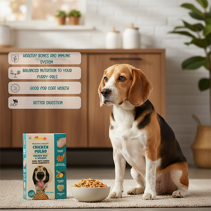 Nootie Chicken Pulao for Dogs - 100g - Human-Grade, Balanced Meal with Real Chicken, Rice & Veggies (Pack of 3)