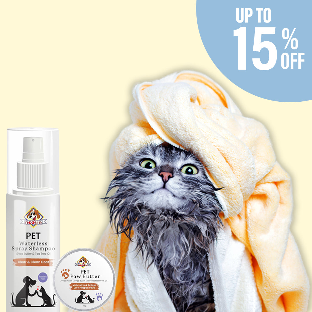 Cat Grooming