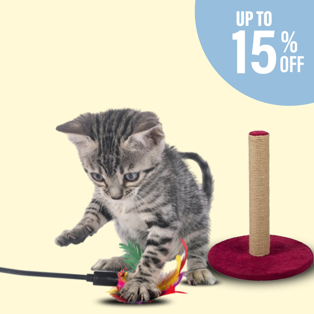 Cat Toys