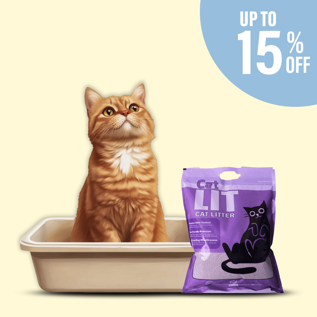 Cat Litter & Litter Trays
