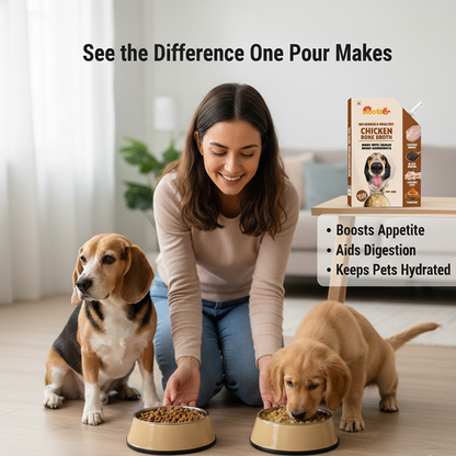 Nootie Natural Chicken, Mutton and Fish Broth for Dogs & Cats – 100ml -Nutrient-Rich, Hydrating Meal Topper (Pack of 3)