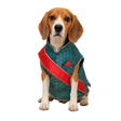 Nootie Festive Sherwani with Chunni for Pets – Blue | Stylish Outfit for Weddings & Festivals