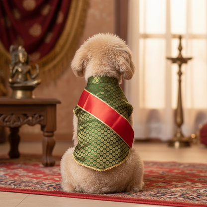 Nootie Festive Sherwani with Chunni for Pets – Green | Stylish Outfit for Weddings & Festivals