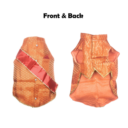 Nootie Festive Sherwani with Chunni for Pets – Orange | Stylish Outfit for Weddings & Festivals