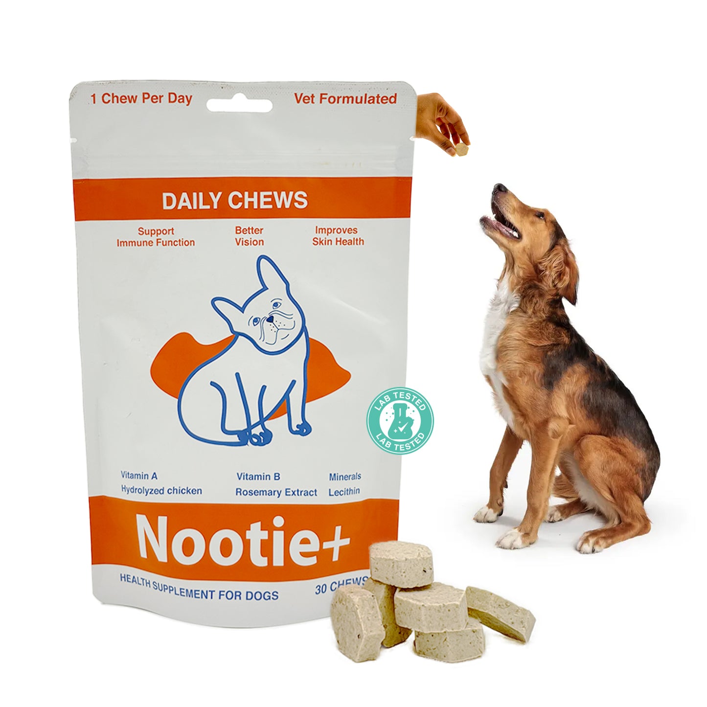 Nootie+ Daily Chews for Dogs | Immune Support, Better Vision & Healthy Skin (30 Chews)