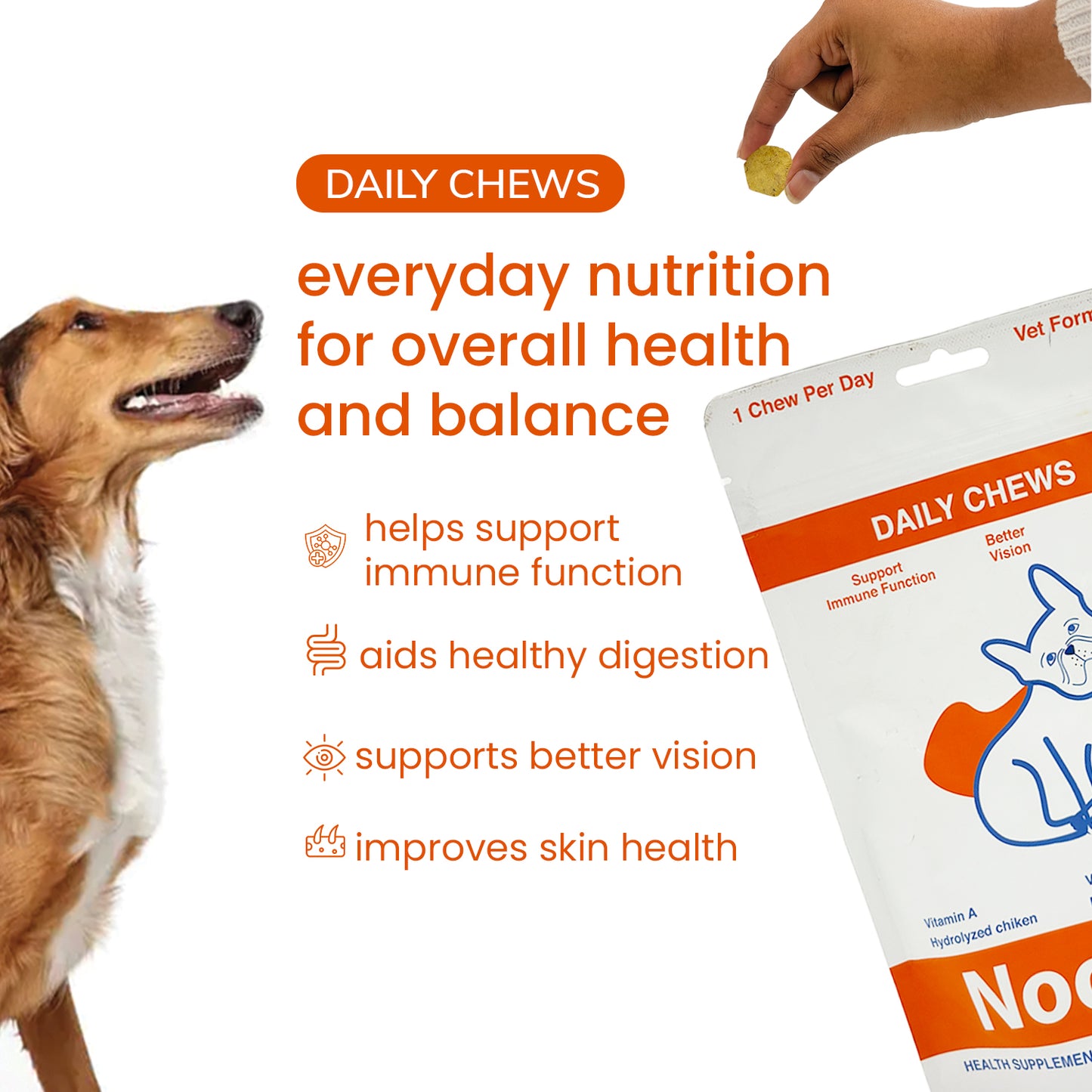 Nootie+ Daily Chews for Dogs | Immune Support, Better Vision & Healthy Skin (30 Chews)