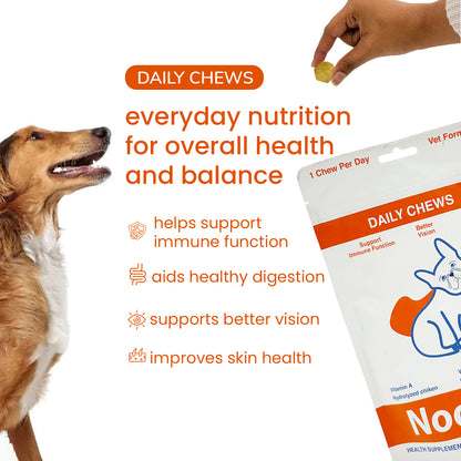 Nootie+ Daily Chews for Dogs | Immune Support, Better Vision & Healthy Skin (30 Chews)