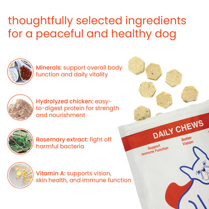 Nootie+ Daily Chews for Dogs | Immune Support, Better Vision & Healthy Skin (30 Chews)