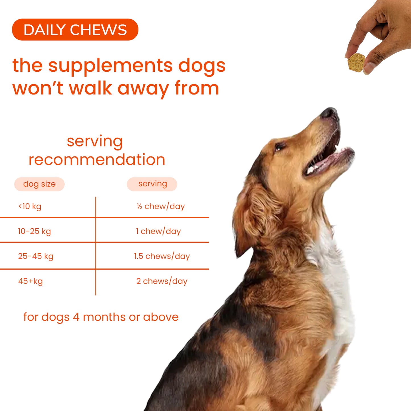Nootie+ Daily Chews for Dogs | Immune Support, Better Vision & Healthy Skin (30 Chews)