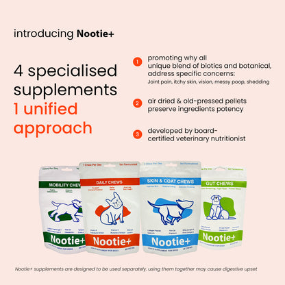 Nootie+ Daily Chews for Dogs | Immune Support, Better Vision & Healthy Skin (30 Chews)