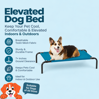Nootie Elevated Dog Bed