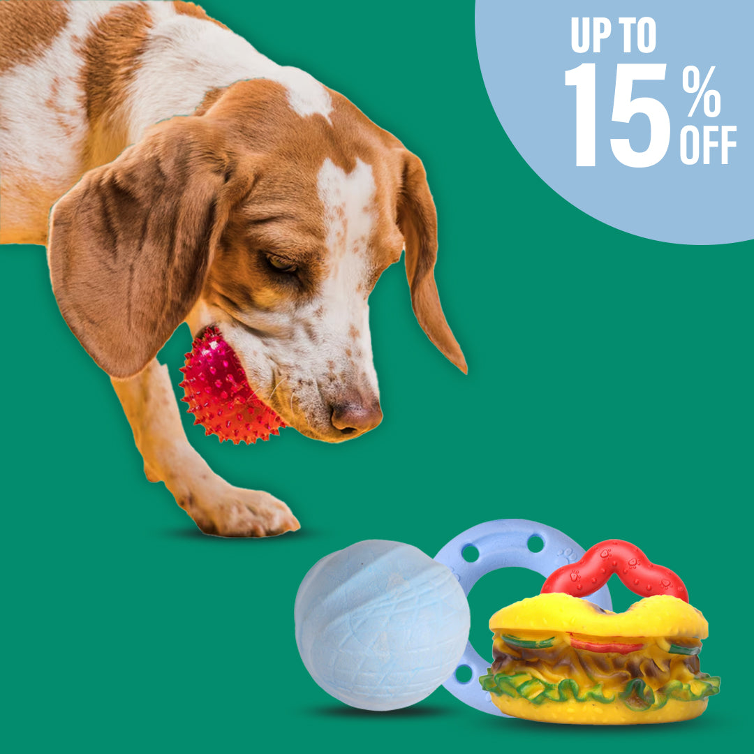 Dog Toys