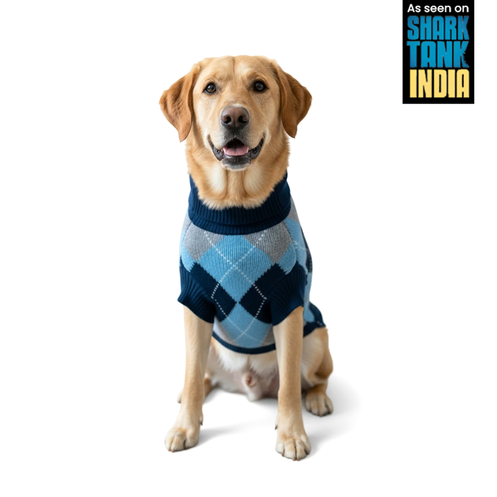 Nootie Dog High Neck Sweater, Blue Check – Stylish Winter Knitwear for All Breeds