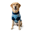 Nootie Dog High Neck Sweater, Blue Check – Stylish Winter Knitwear for All Breeds