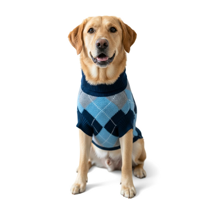 Nootie Dog High Neck Sweater, Blue Check – Stylish Winter Knitwear for All Breeds
