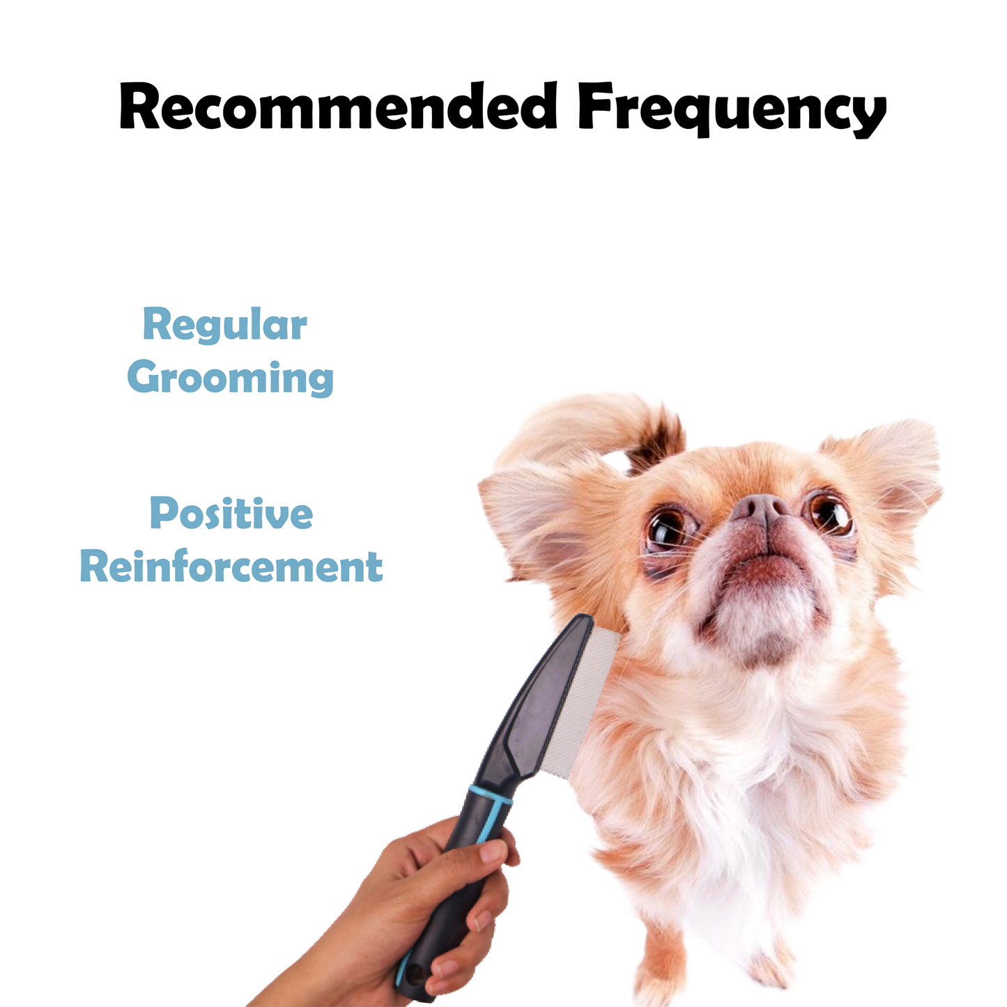 Nootie Furrtoolz Premium Flea Comb for Dogs & Cats | Fine Teeth Precision & Ergonomic Grip