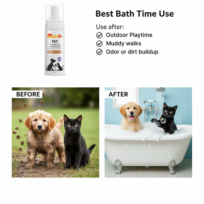 Nootie Pet Foaming Shampoo with Rosemary Oil & Kokum Butter for Dogs & Cats (150 ml) | Soft, Shiny Coat & Gentle Cleansing
