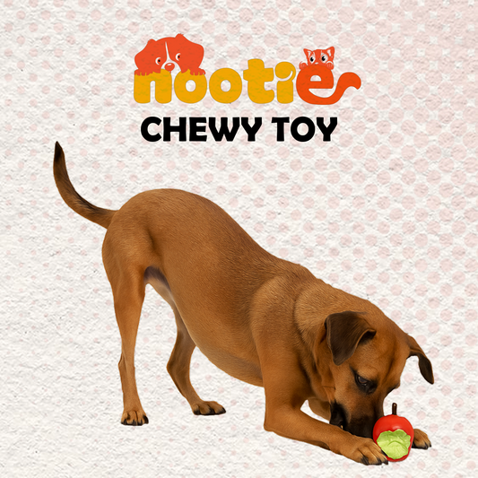 Nootie Dog Latex Squeaky Toy – Apple Shape – Non-Toxic, Durable & Fun for Chewing, Playing, Teething, and Training – 7.5 x 7.5 x 9.5 cm – Red