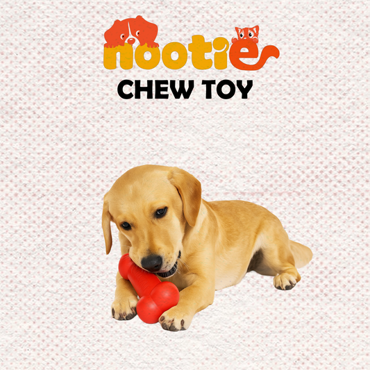 Nootie Hard Rubber Toy for Dog Durable, Non-Toxic Chew Toy for Dogs, Great for Playing, Teething, Chewing & Training, Red (Bone, Large)