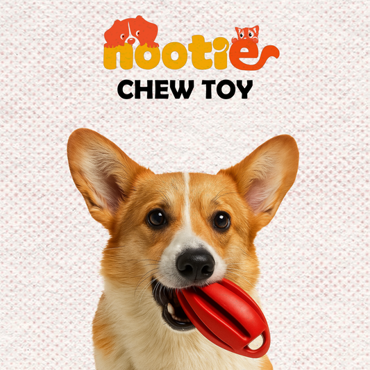 Nootie Hard Rubber Toy for Dog Durable, Non-Toxic Chew Toy for Dogs, Great for Playing, Teething, Chewing & Training, Red (Rugby, Large)
