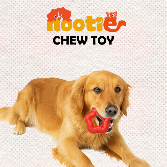 Nootie Hard Rubber Toy for Dog Durable, Non-Toxic Chew Toy for Dogs, Great for Playing, Teething, Chewing & Training, Red (Star Ring, Large)