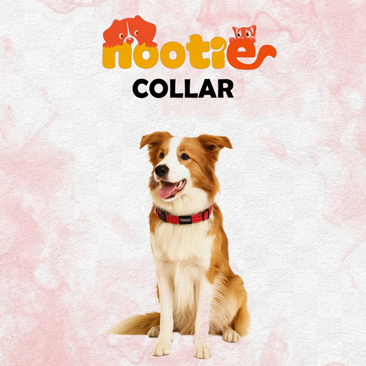 Nootie Plush Padded Collar Red Color with Grey Detailing