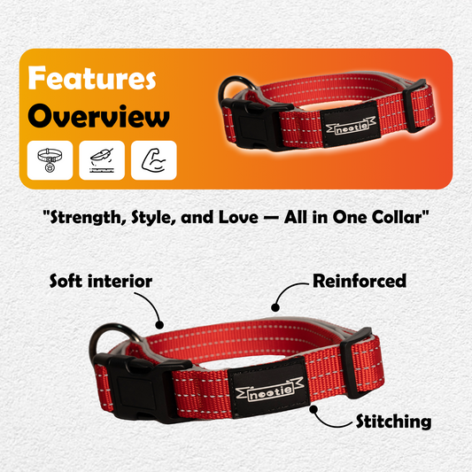 Nootie Plush Padded Collar Red Color with Grey Detailing