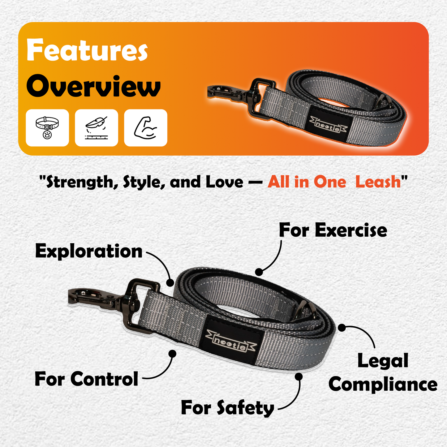 Nootie Plush Padded Leash Grey Color with Blue Detailing