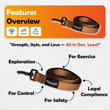 Nootie Plush Padded Leash Brown Color Detailing