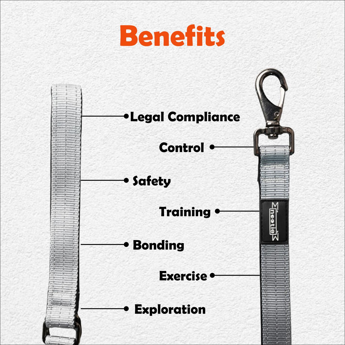 Nootie Plush Padded Leash Grey Color with Blue Detailing