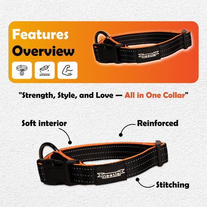 Nootie Plush Padded Collar – Grey with Blue Detailing | Adjustable, Durable & Comfortable for All Breeds (Copy)