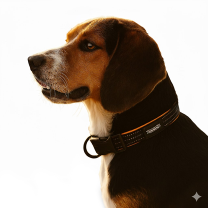 Nootie Plush Padded Collar – Grey with Blue Detailing | Adjustable, Durable & Comfortable for All Breeds (Copy)