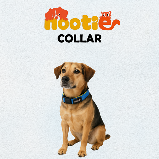 Nootie Plush Padded Collar Blue Color with Yellow Detailing