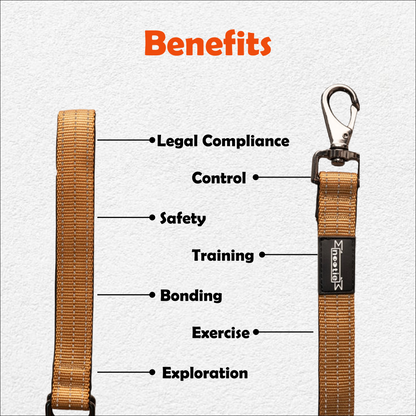 Nootie Plush Padded Leash Brown Color Detailing