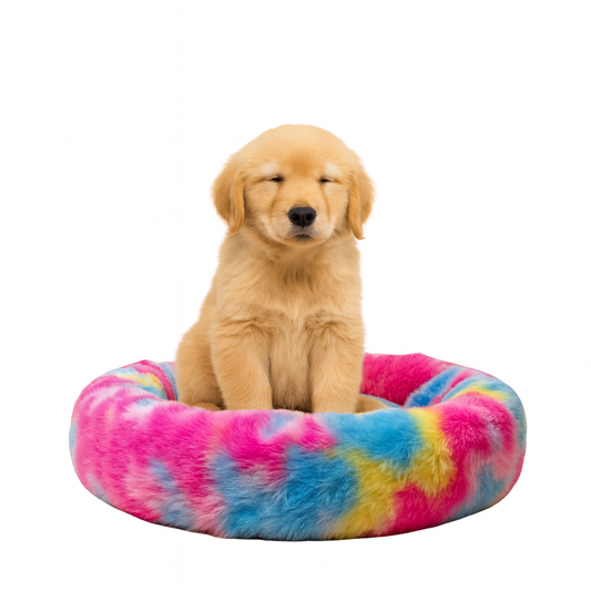 Nootie Donut Cuddler Calming Dog Bed – Medium Rainbow Plush Donut Bed (26" x 4.5") | Polyester Faux Fur + Polyfill | Hand & Machine Wash