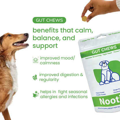 Nootie+ Gut Chews for Dogs | Digestive Support, Firmer Stools & Yeast Balance (30 Chews)