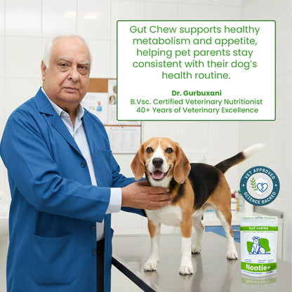 Nootie+ Gut Chews for Dogs | Digestive Support, Firmer Stools & Yeast Balance (30 Chews)