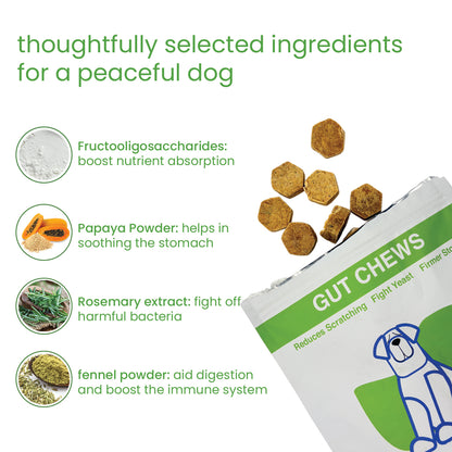 Nootie+ Gut Chews for Dogs | Digestive Support, Firmer Stools & Yeast Balance (30 Chews)