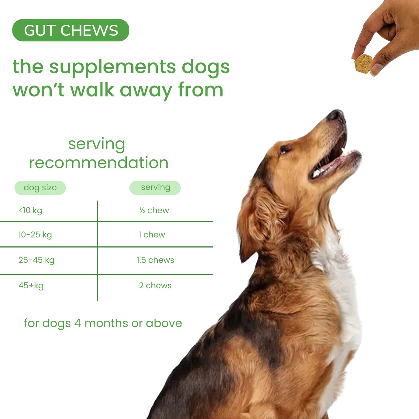 Nootie+ Gut Chews for Dogs | Digestive Support, Firmer Stools & Yeast Balance (30 Chews)