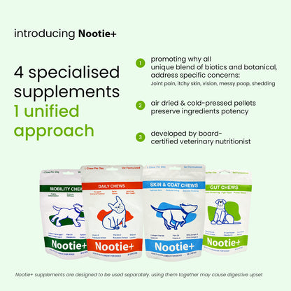 Nootie+ Gut Chews for Dogs | Digestive Support, Firmer Stools & Yeast Balance (30 Chews)
