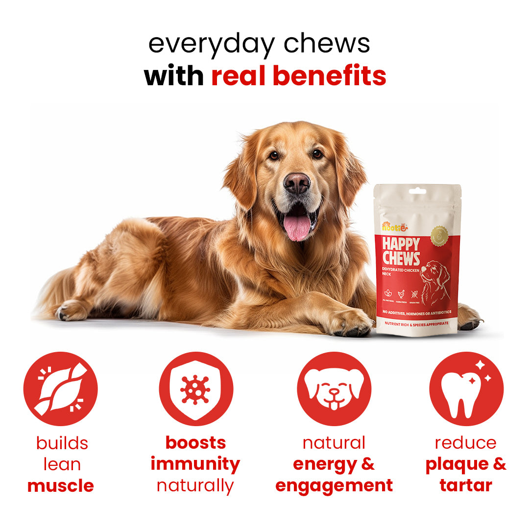 Nootie Happy Chews – Dehydrated Chicken Neck Dog Treats (80g) | All-Natural, High-Protein, Crunchy Snack
